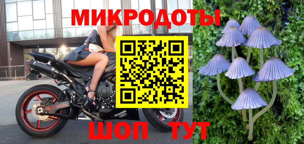 Самара  Псилоцибиновые грибы Psilocybe  Вход с VPN 